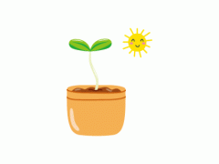 多肉植物開花不好？這是為什么，開的話如何養護
