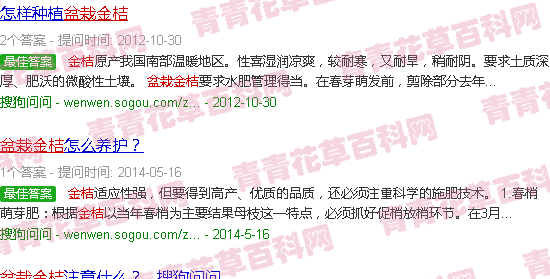 盆栽金桔的飼養(yǎng)方法_金桔盆栽種植方法和注意事項_盆栽金桔種植技術