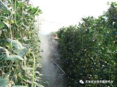 都哪些農(nóng)藥是堿性的？