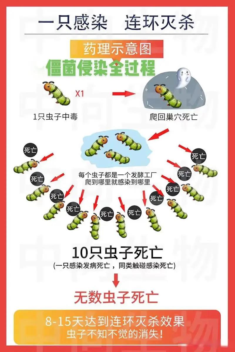 農(nóng)藥殺蟲有因果報應(yīng)嗎_農(nóng)藥殺蟲有哪些藥_殺蟲農(nóng)藥有哪些